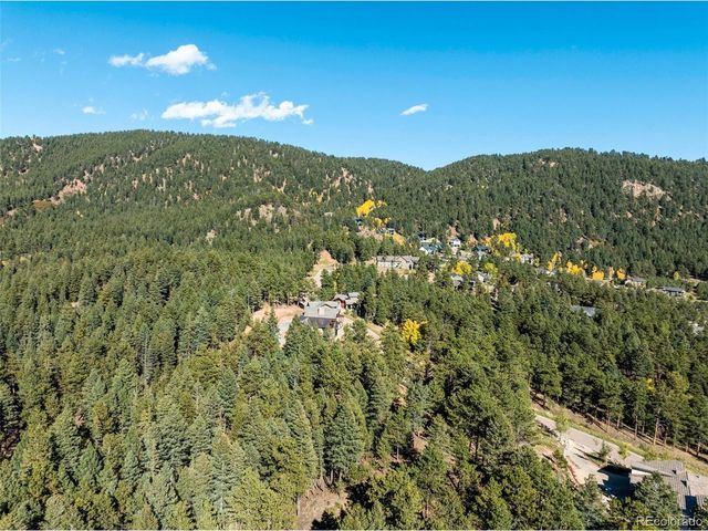 270 Thunder Ridge Dr, Woodland Park, CO 80863