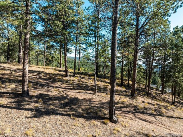 270 Thunder Ridge Dr, Woodland Park, CO 80863