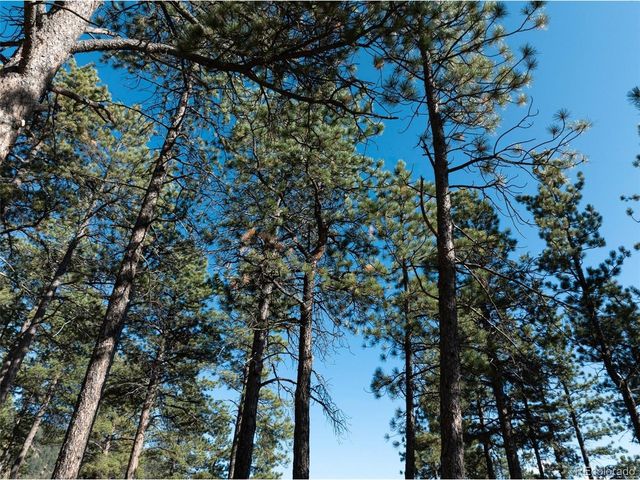 270 Thunder Ridge Dr, Woodland Park, CO 80863