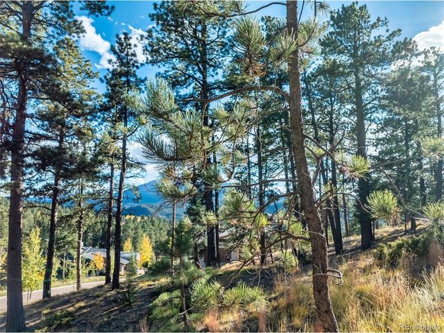 270 Thunder Ridge Dr, Woodland Park, CO 80863