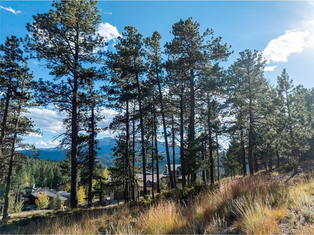 270 Thunder Ridge Dr, Woodland Park, CO 80863