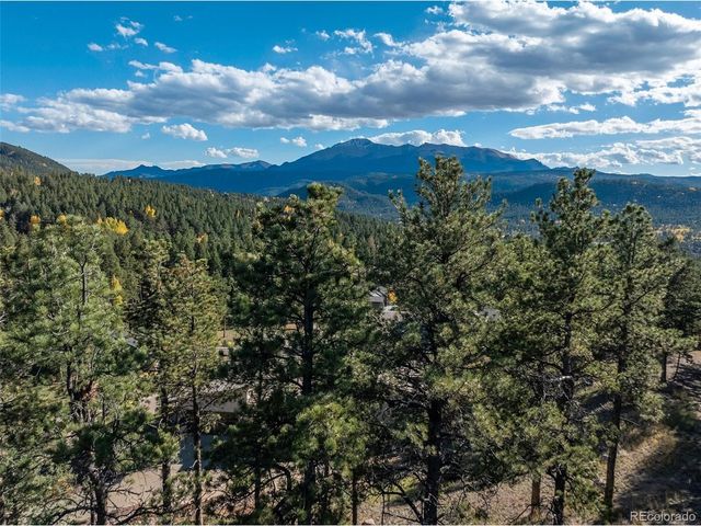 270 Thunder Ridge Dr, Woodland Park, CO 80863
