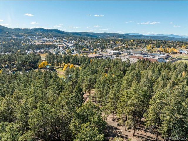 270 Thunder Ridge Dr, Woodland Park, CO 80863