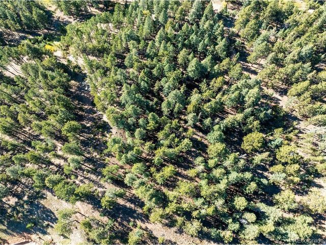 270 Thunder Ridge Dr, Woodland Park, CO 80863
