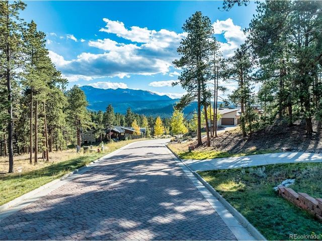 270 Thunder Ridge Dr, Woodland Park, CO 80863
