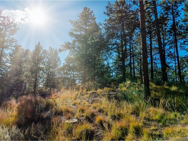 270 Thunder Ridge Dr, Woodland Park, CO 80863