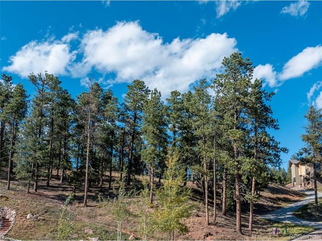 270 Thunder Ridge Dr, Woodland Park, CO 80863