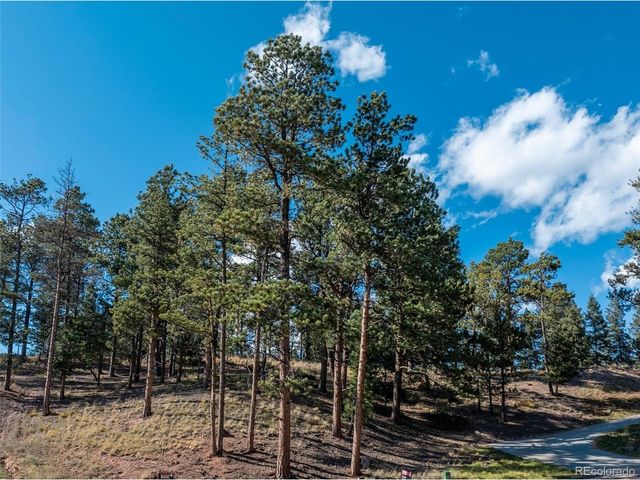 270 Thunder Ridge Dr, Woodland Park, CO 80863