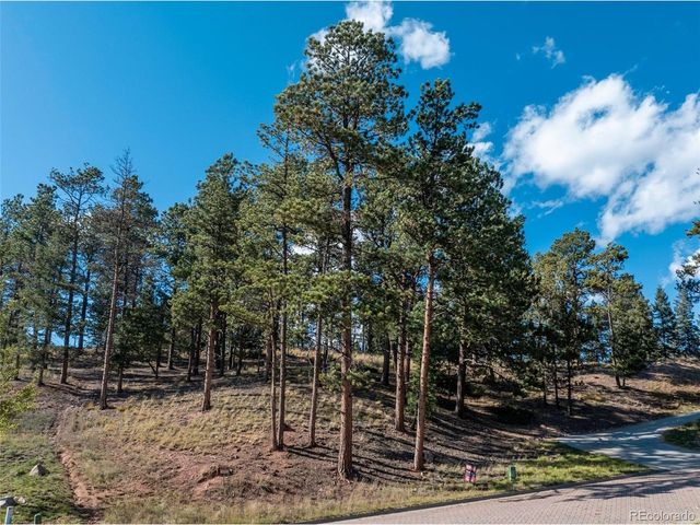 270 Thunder Ridge Dr, Woodland Park, CO 80863