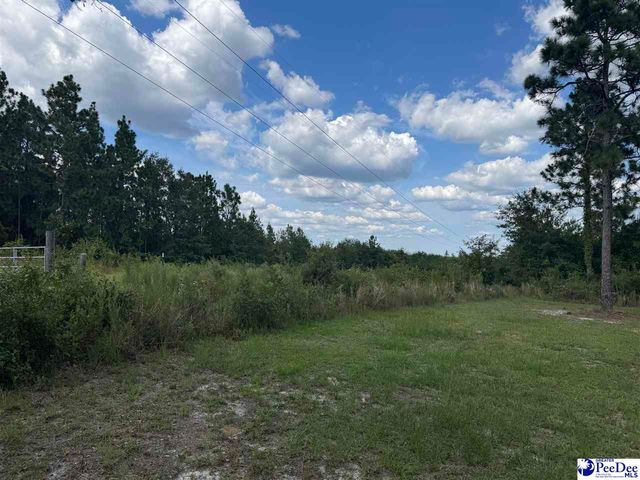 2525 Persimmons Drive, Hartsville, SC 29550