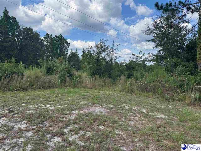 2525 Persimmons Drive, Hartsville, SC 29550