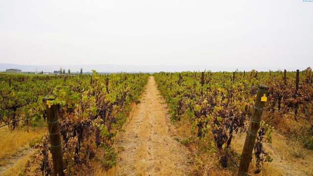 58802 N Hinzerling Rd., Prosser, WA 99350