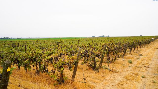 58802 N Hinzerling Rd., Prosser, WA 99350