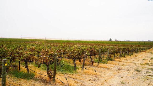 58802 N Hinzerling Rd., Prosser, WA 99350
