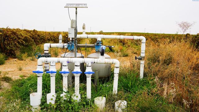 58802 N Hinzerling Rd., Prosser, WA 99350