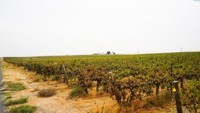 58802 N Hinzerling Rd., Prosser, WA 99350