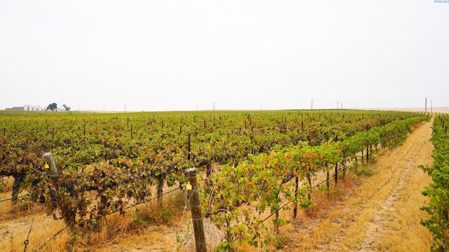 58802 N Hinzerling Rd., Prosser, WA 99350