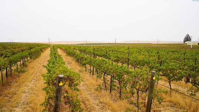 58802 N Hinzerling Rd., Prosser, WA 99350