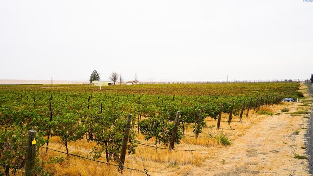 58802 N Hinzerling Rd., Prosser, WA 99350