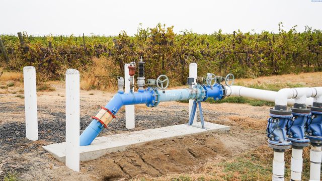 58802 N Hinzerling Rd., Prosser, WA 99350