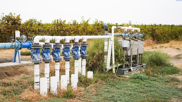 58802 N Hinzerling Rd., Prosser, WA 99350