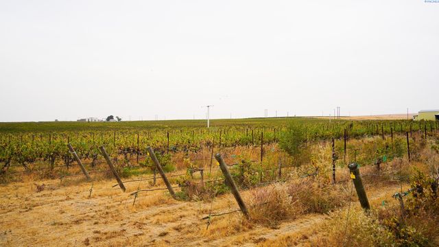 58802 N Hinzerling Rd., Prosser, WA 99350