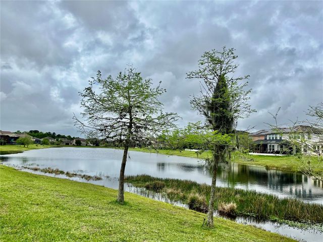 1033 FOUNTAIN COIN LOOP, Orlando, FL 32828