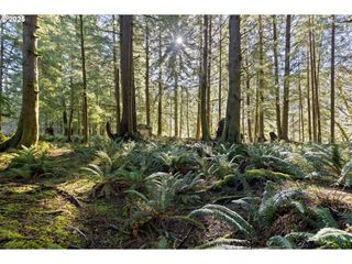 N Stockton Rd TL 2700, Otis, OR 97368