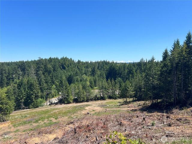 3 XXXX Mt Jupiter Road, Brinnon, WA 98320