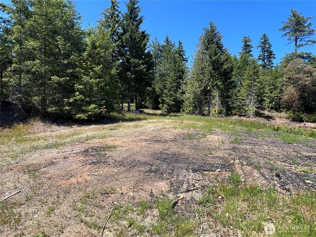 3 XXXX Mt Jupiter Road, Brinnon, WA 98320