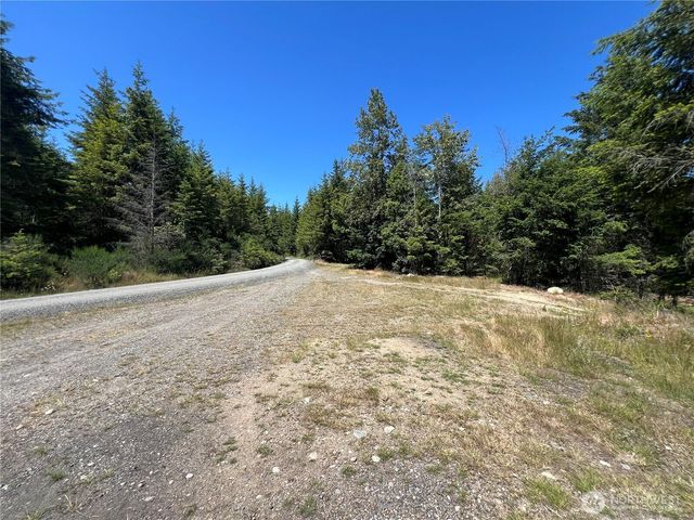 3 XXXX Mt Jupiter Road, Brinnon, WA 98320