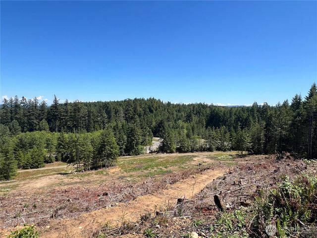 3 XXXX Mt Jupiter Road, Brinnon, WA 98320