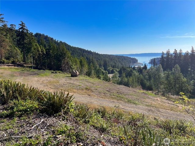 3 XXXX Mt Jupiter Road, Brinnon, WA 98320