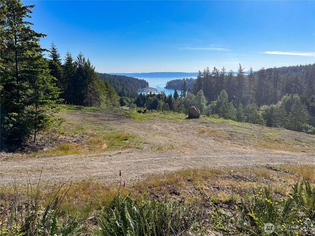 3 XXXX Mt Jupiter Road, Brinnon, WA 98320