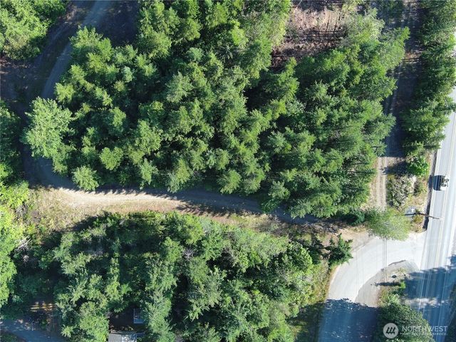 3 XXXX Mt Jupiter Road, Brinnon, WA 98320