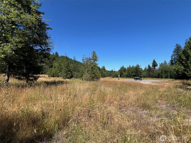 3 XXXX Mt Jupiter Road, Brinnon, WA 98320