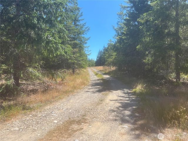 3 XXXX Mt Jupiter Road, Brinnon, WA 98320