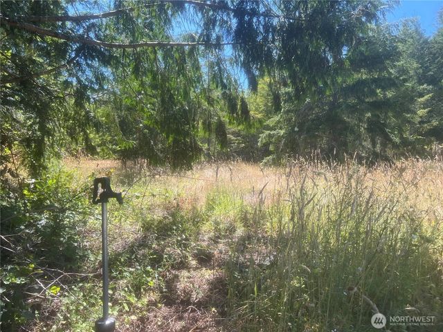 3 XXXX Mt Jupiter Road, Brinnon, WA 98320