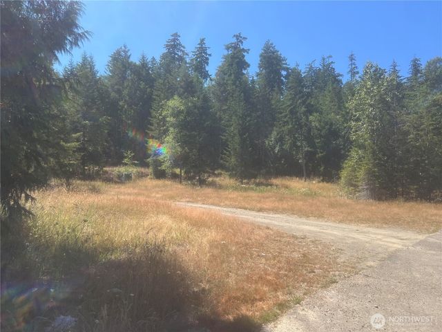 3 XXXX Mt Jupiter Road, Brinnon, WA 98320