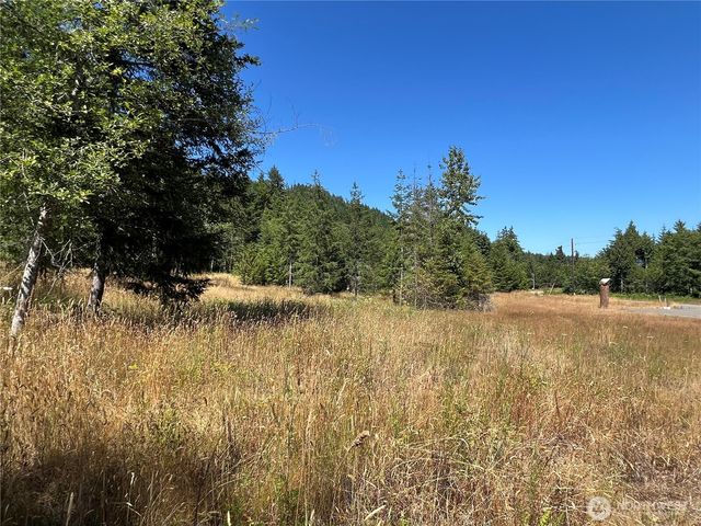 3 XXXX Mt Jupiter Road, Brinnon, WA 98320