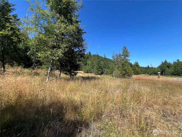 3 XXXX Mt Jupiter Road, Brinnon, WA 98320