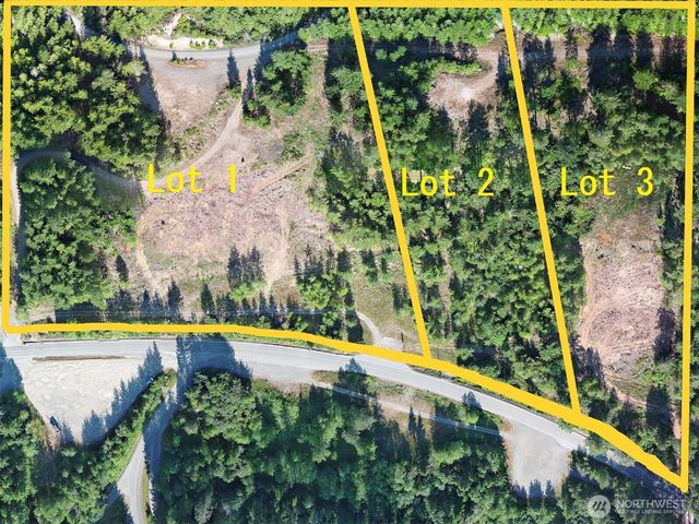 3 XXXX Mt Jupiter Road, Brinnon, WA 98320