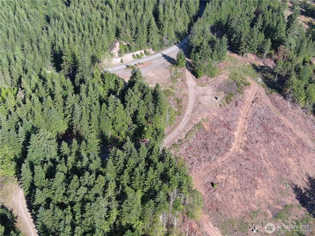3 XXXX Mt Jupiter Road, Brinnon, WA 98320