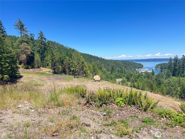 3 XXXX Mt Jupiter Road, Brinnon, WA 98320