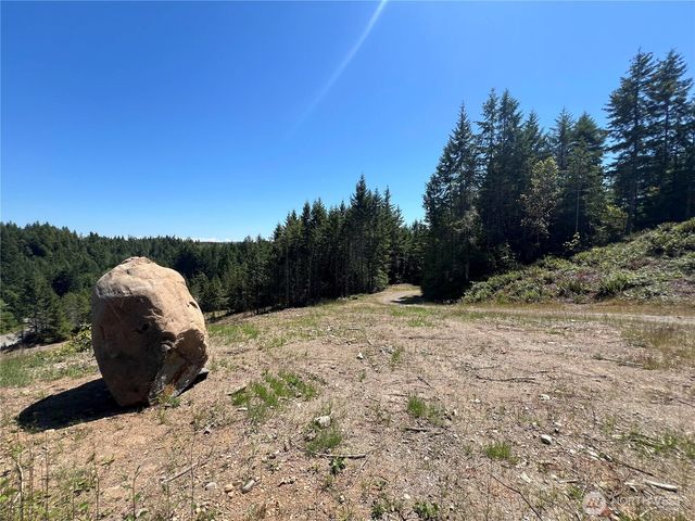 3 XXXX Mt Jupiter Road, Brinnon, WA 98320