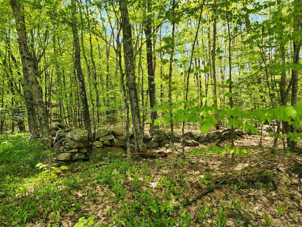 000 South Village Road R13-13, Westmoreland, NH 03467