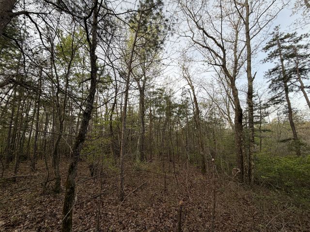 0 Salem Road, Centerville, TN 37033
