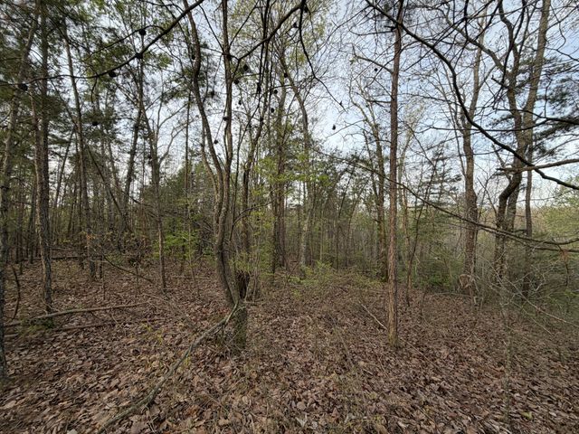 0 Salem Road, Centerville, TN 37033