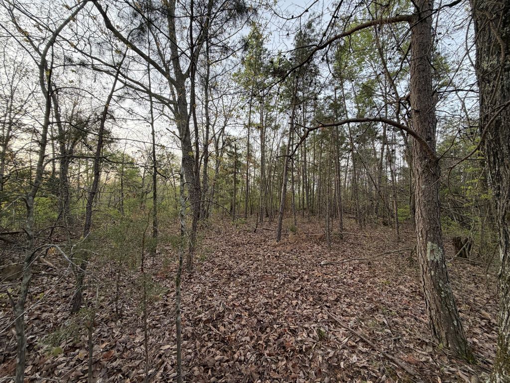 0 Salem Road, Centerville, TN 37033