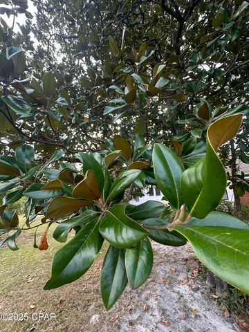 TBD E 4th Street, Panama City, FL 32401